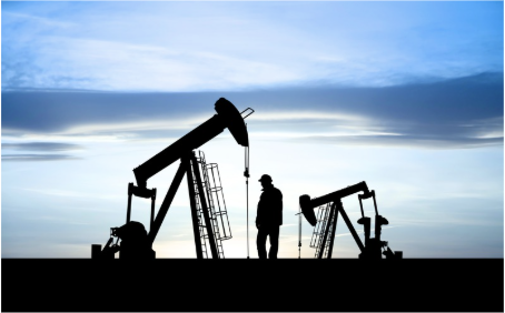 Champion the role of natural gas and LNG in decarbonisation and energy security...